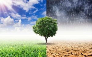 تاب آوری اقلیم چیست ؟Climate resilience